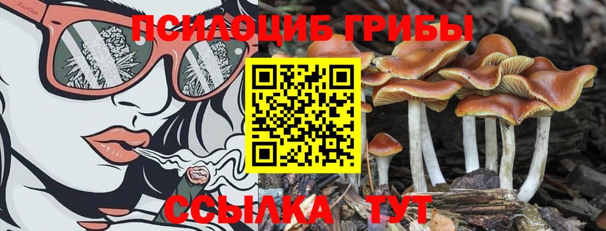 Галлюциногенные грибы Psilocybine cubensis  Псилоцибиновые грибы Magic Shrooms  Вход с VPN  Татарск 